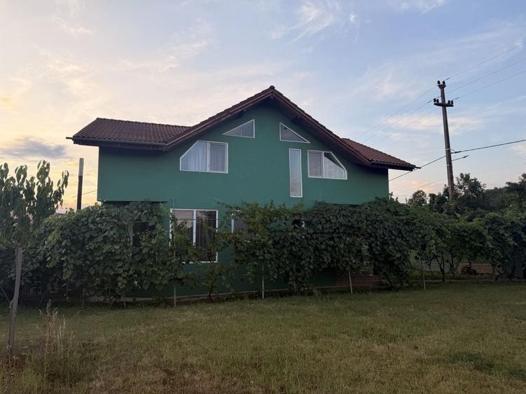 Casă cu 4 camere cu Teren 3500 Mp în Husnicioara