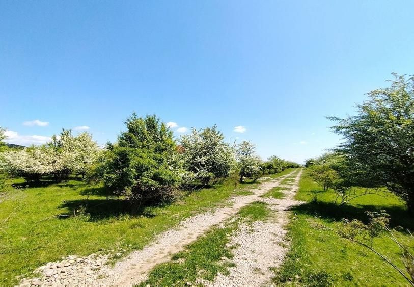Teren Construcții intravilan de 1333 mp, în Sânpetru