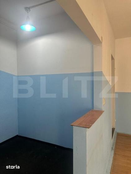 Spațiu comercial, de 24 mp, în Elisabetin