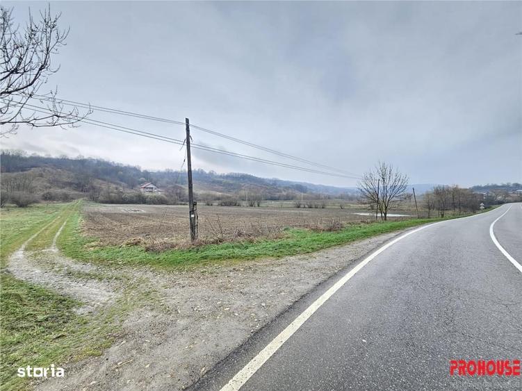 Spațiu comercial, în Grigoreni