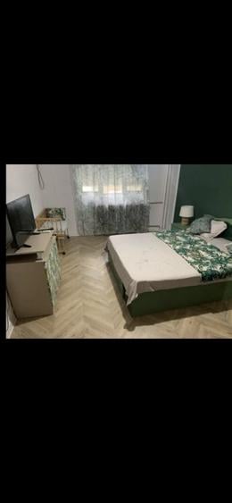 Iancului parter elev stefanescu - 4