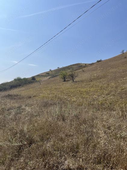 Teren 2000 mp Langa Intravilan Apahida, Cluj - 1