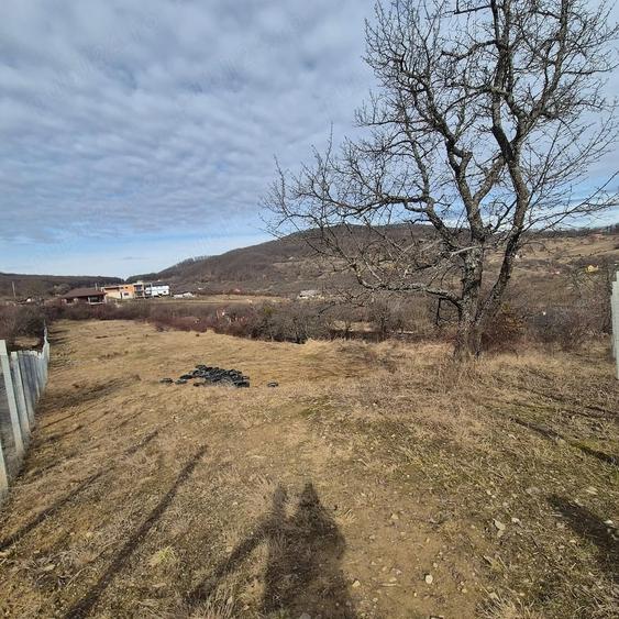 Teren de vanzare Valea Rusului - 5