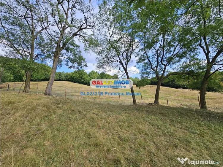 Teren de 2700 mp, în Curtea de Argeș