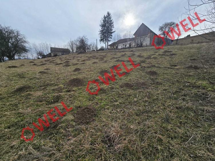 Teren extravilan de 5800 mp, în Sărămaș