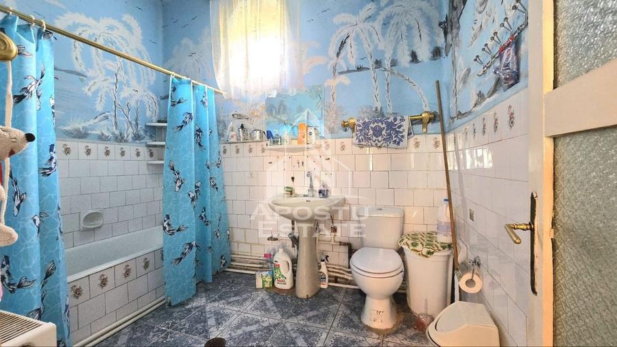 Casa 6 camere, Sandra, Teren 2217 mp - 10