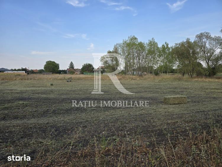 Teren intravilan 6.514mp | 39m front stradal | Ciocaia, Sacuieni - 8