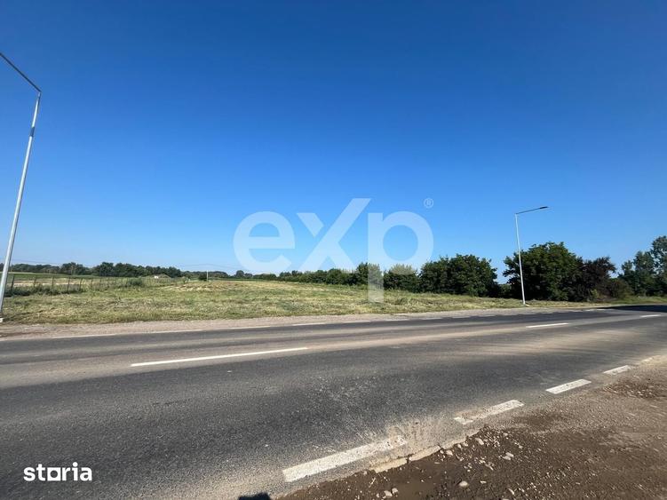 Teren de 15000 mp, în Sud