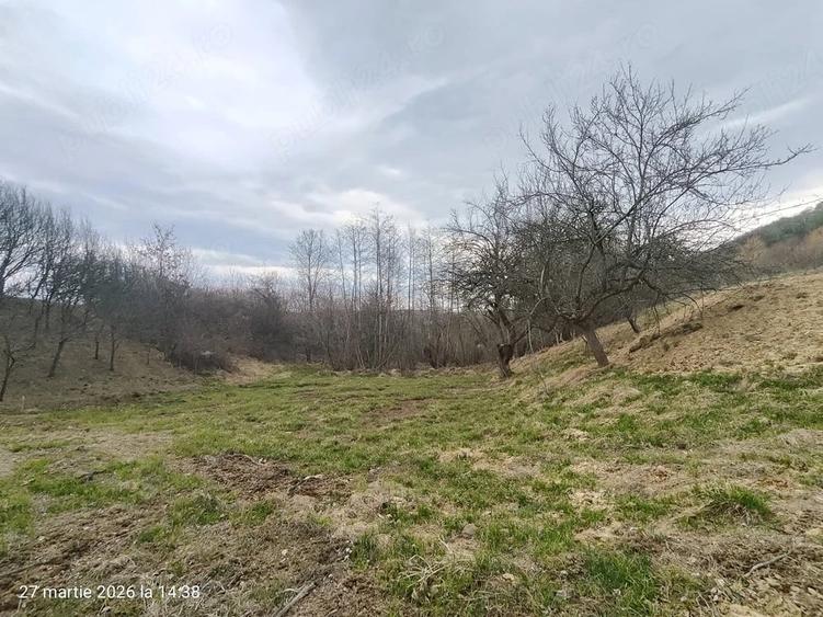 Teren de 1200 mp, în Central