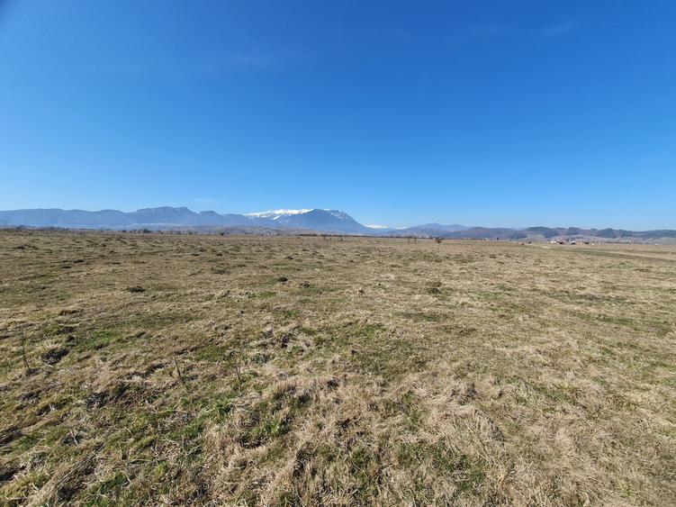 Teren agricol extravilan de 3900 mp, în Exterior Vest