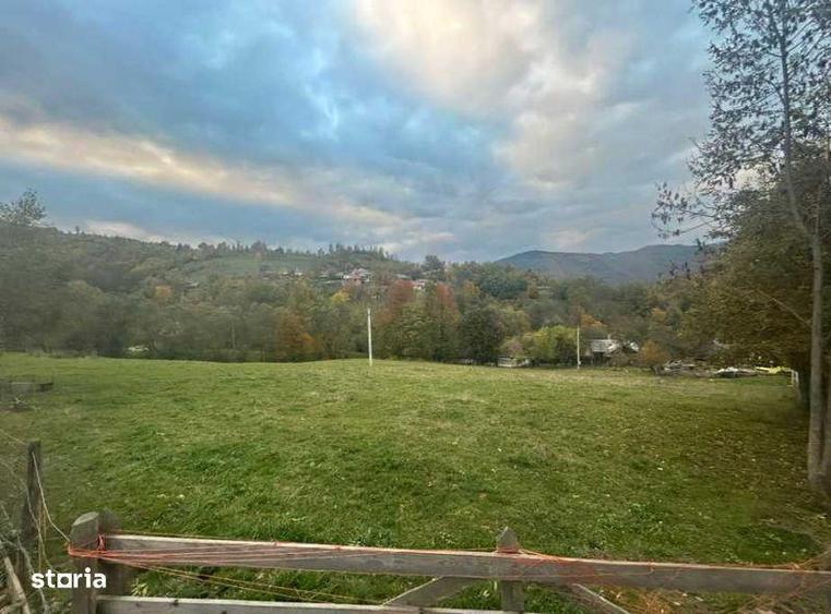 Teren de 5800 mp, în Lupșa