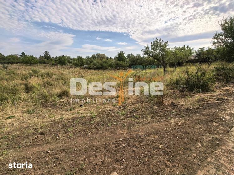 Teren intravilan 2170 mp la drum asfaltat - Chicerea - 4