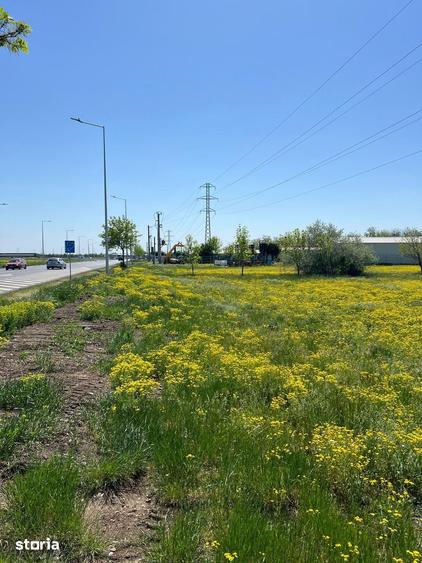 Teren de 5000 mp, în Vadu Pașii