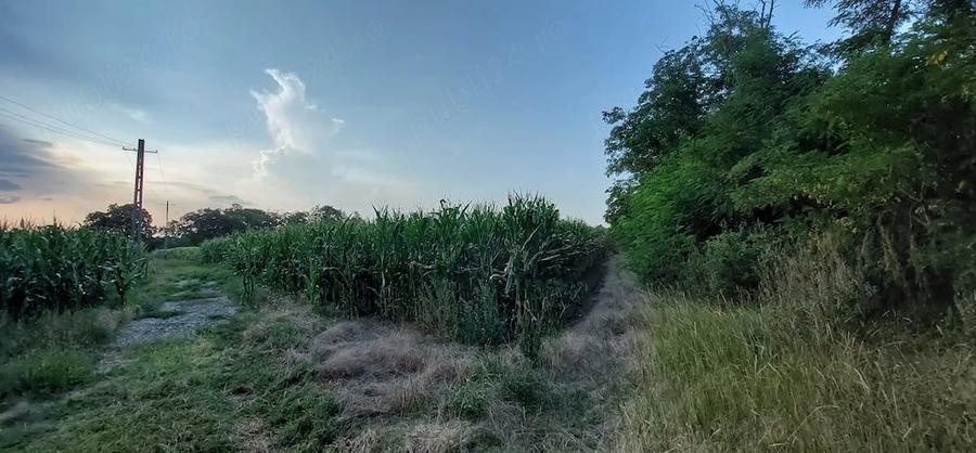 Teren de 7200 mp, în Dumbrăvița