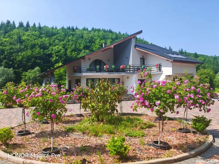 Casă cu 6 camere cu Teren 3000 Mp în Dej