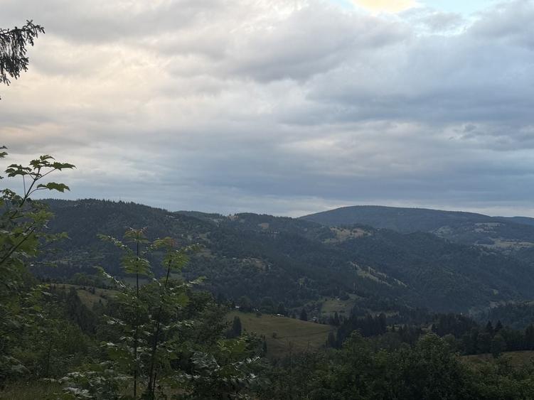 Teren de 7167 mp, în Scărișoara