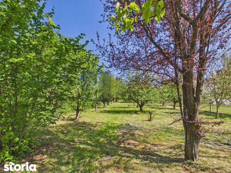 Casă cu 6 camere cu Teren 1690 Mp în Gruiu