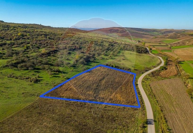 Teren Construcții intravilan de 1459 mp, în Căianu