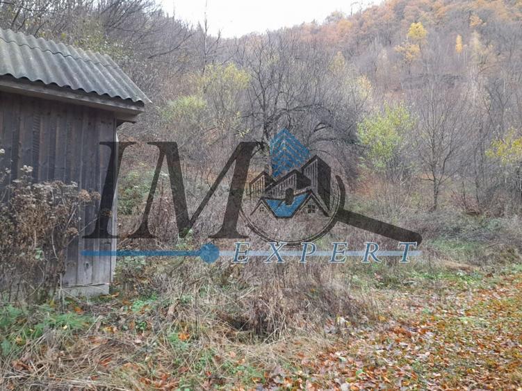 Teren extravilan de 2200 mp, în Tău Bistra