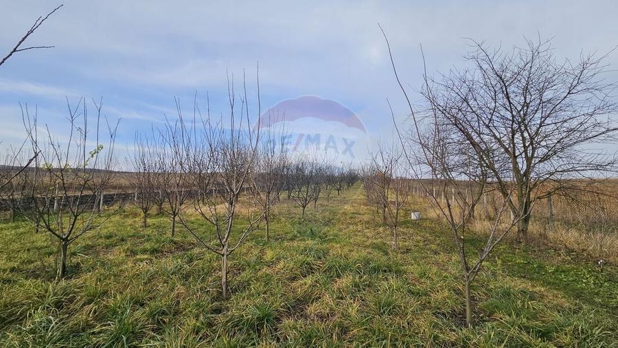 Teren extravilan de 10791 mp, în Fălticeni