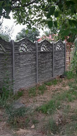 Teren de 5000 mp, în Coteana