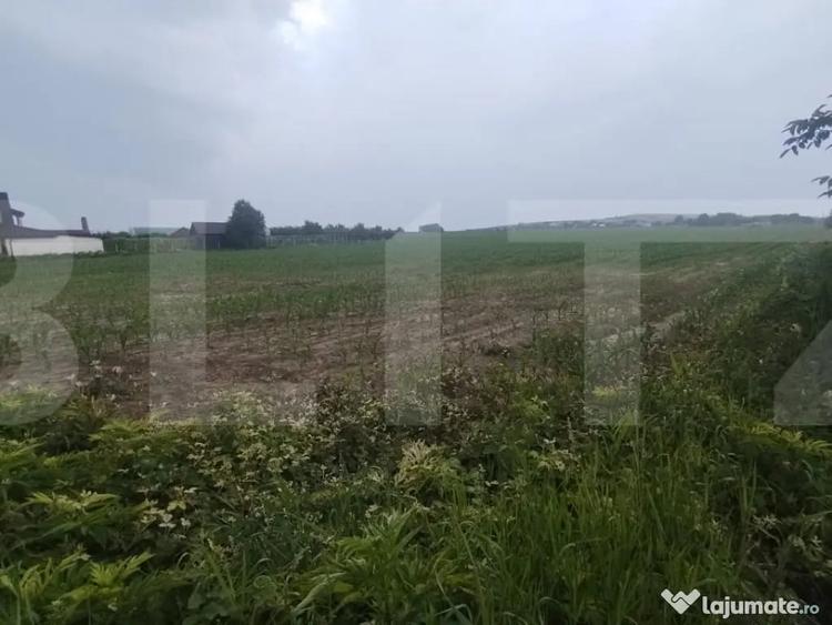 Teren de 15380 mp, în Orășeni-Vale