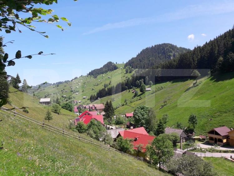Teren Construcții intravilan de 4890 mp, în Moieciu de Sus