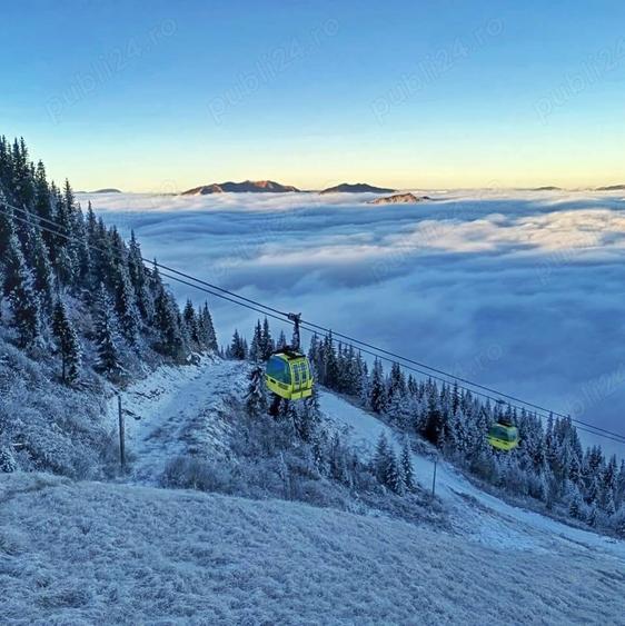 Teren construibil intravilan la 1 km de centrul orasului Borsa Maramures - 7