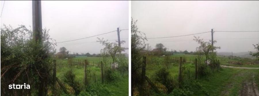 Teren de 3600 mp, în Probota