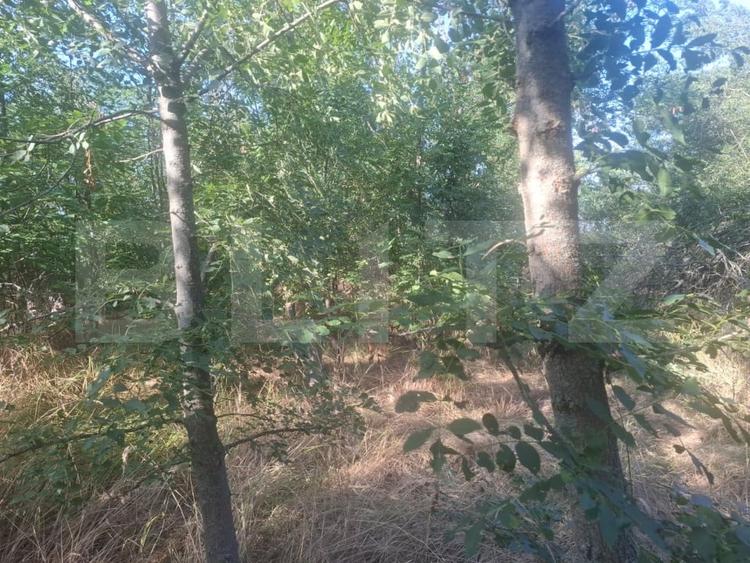 Teren Construcții extravilan de 5000 mp, în Mătăsaru
