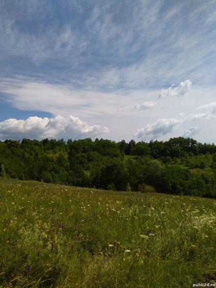 Teren de 3600 mp, în Aluniș