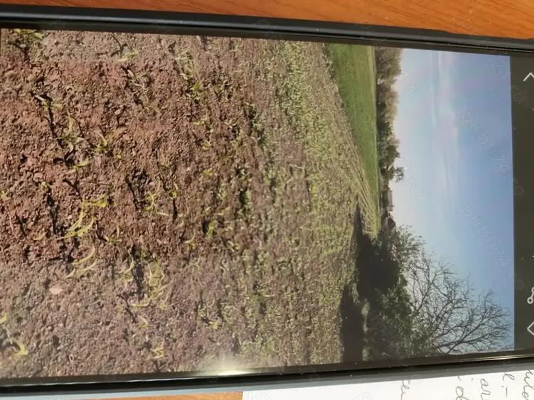 Teren de 2877 mp, în Ghizela