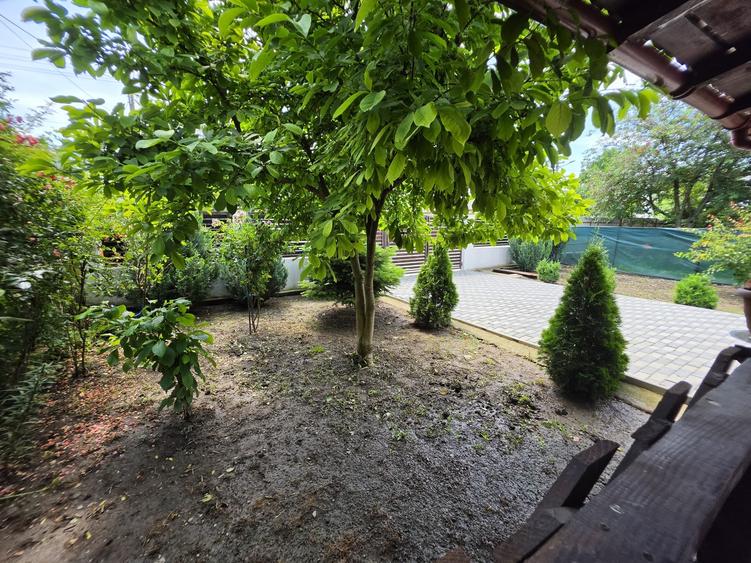 Casă renovată cu 6 camere, teren 557 mp – Berceni, Prahova - 4
