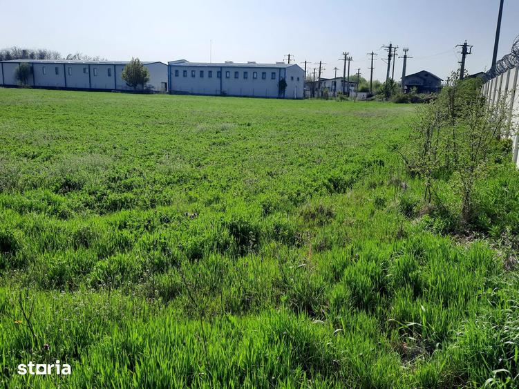 Teren de 4600 mp, în Joița