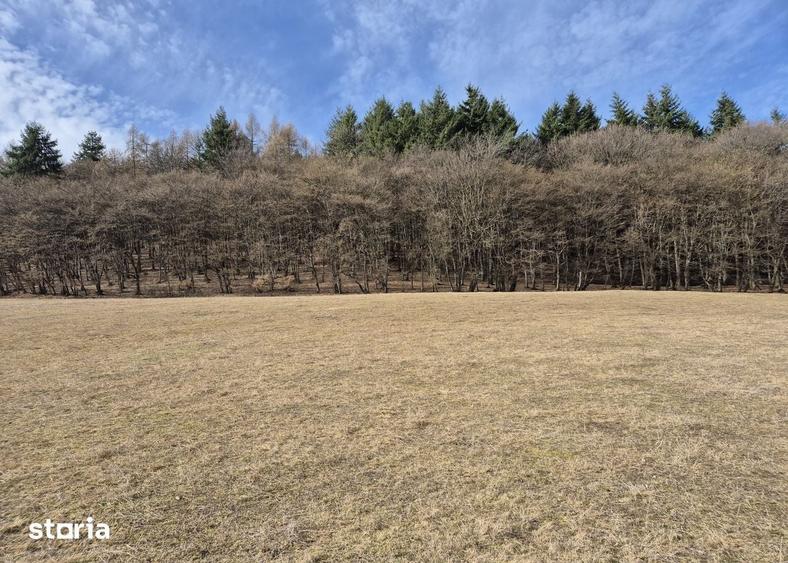 Teren de 700 mp, în Baciu