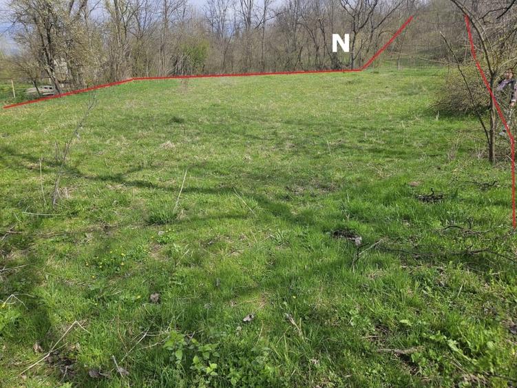 Teren Construcții intravilan de 2640 mp, în Prăjani