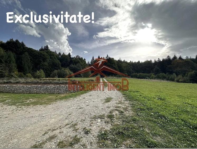 Teren de 2878 mp, în Sâmbăta de Sus