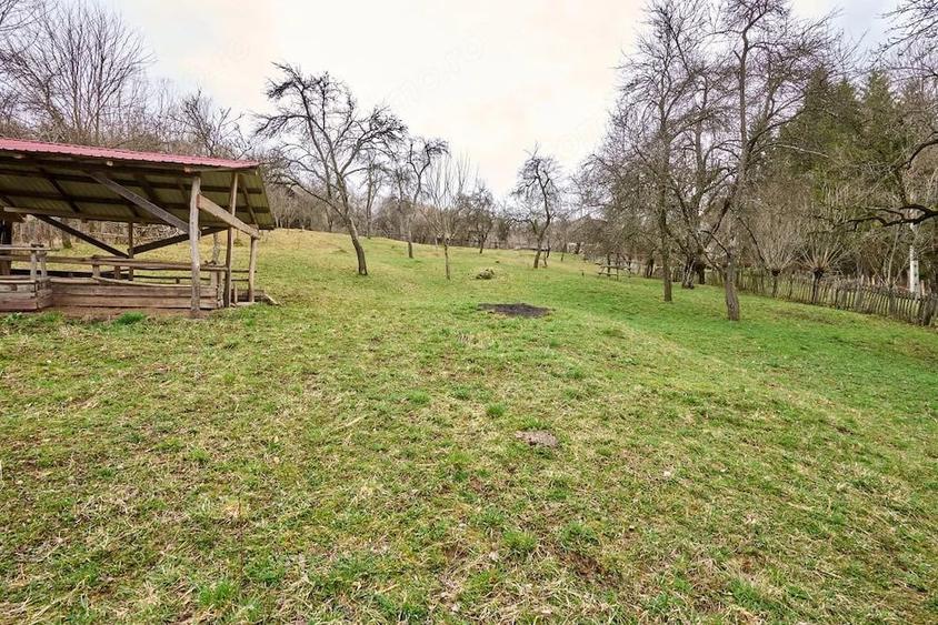 Casă cu 4 camere cu Teren 4213 Mp în Nucșoara