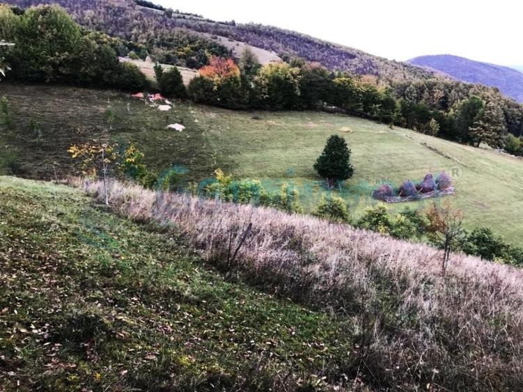 Teren agricol intravilan de 1400 mp, în Șuncuiuș