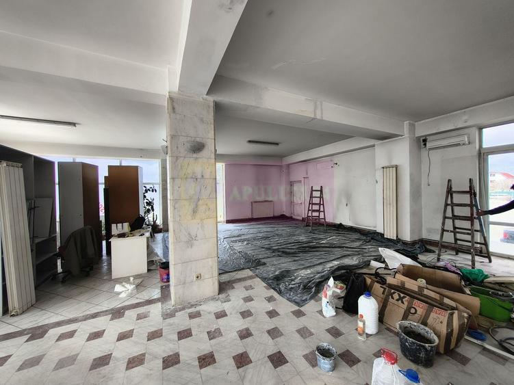 Spațiu comercial, de 238 mp, în Alexandriei