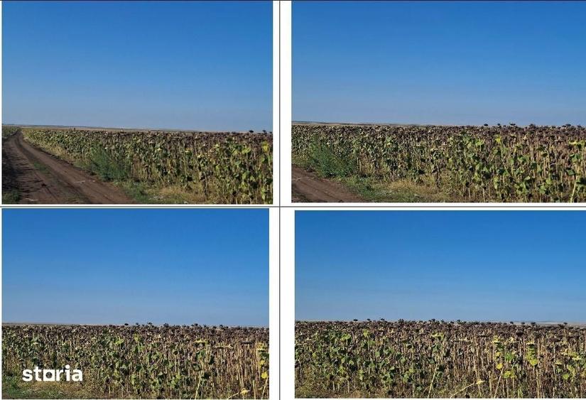 Teren de 5600 mp, în Valea Râmnicului