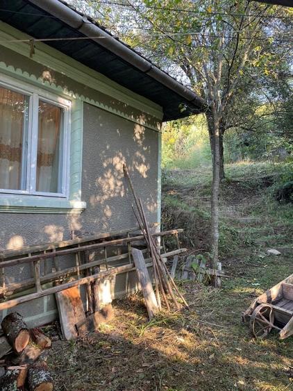 Casă cu 3 camere în Blăjeni
