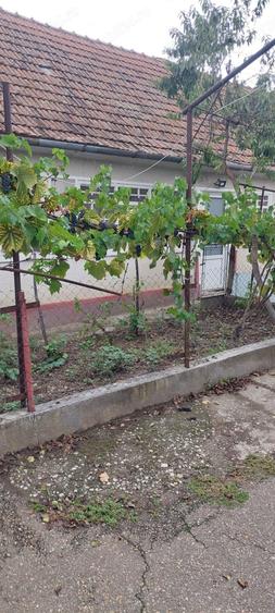 Casă cu 4 camere în Cohani