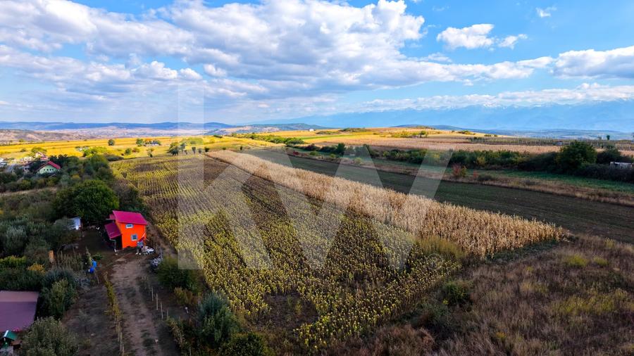 Teren agricol extravilan de 5000 mp, în Daia