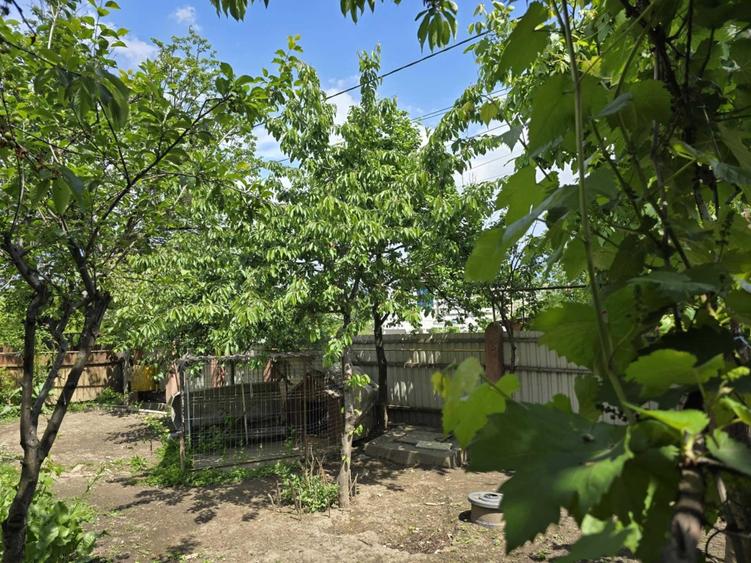 Casă cu 2 camere în Central