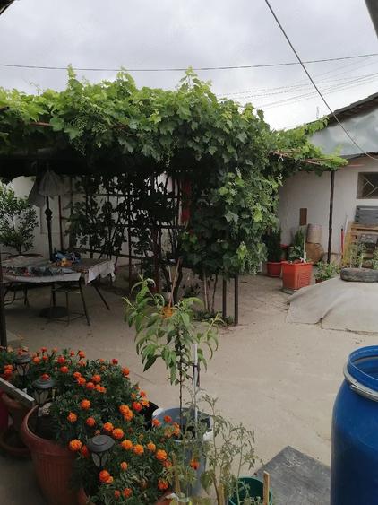 Casă cu Teren 590 Mp în Central