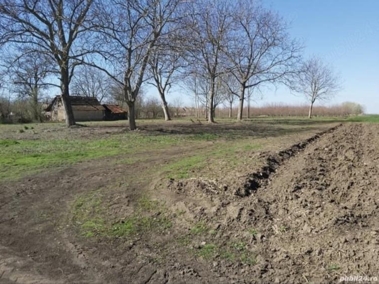 Teren de 1260 mp, în Peregu Mic