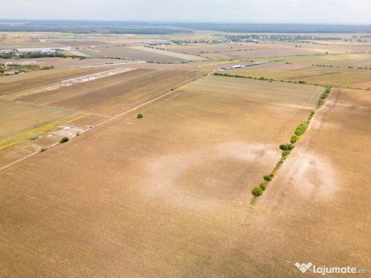 DASCALU TEREN INTRAVILAN 11300 MP, INVESTITIE! - Dascalu (Bucuresti-Ilfov) - 5