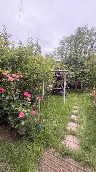 Casă individuală cu 5 camere cu Canalizare în Gura Caliței