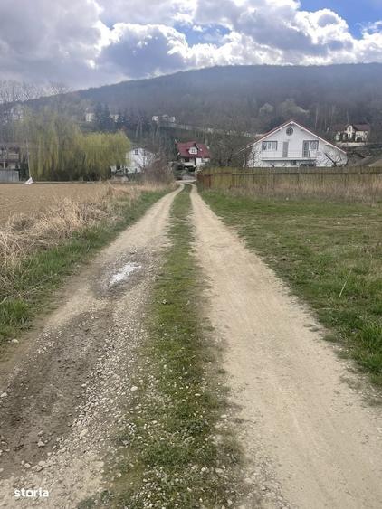 Teren intravilan 700 mp,Aleea Coloneilor,toate utilitatile - 5